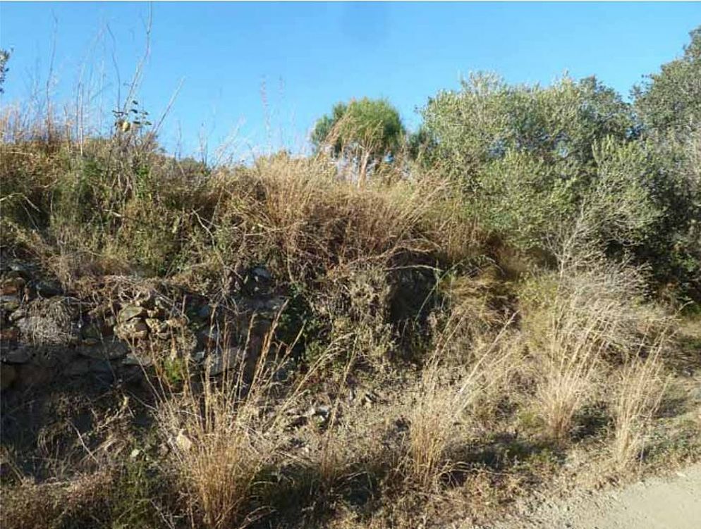 Land in Almoster, Tarragona for sale Building Photo- Image 1 of 4