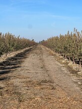 2359 Wainwright Rd, Stevinson, CA for sale Primary Photo- Image 1 of 1