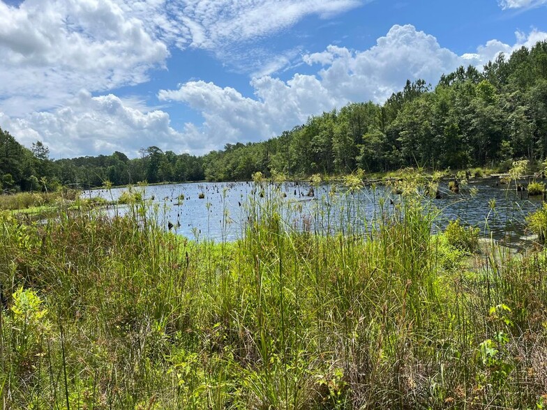 615 Sniders Hwy, Walterboro, SC for sale - Building Photo - Image 2 of 14