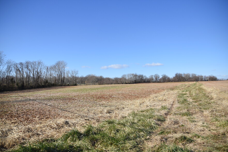 4572 Old Tavern Rd, The Plains, VA for sale - Building Photo - Image 3 of 14