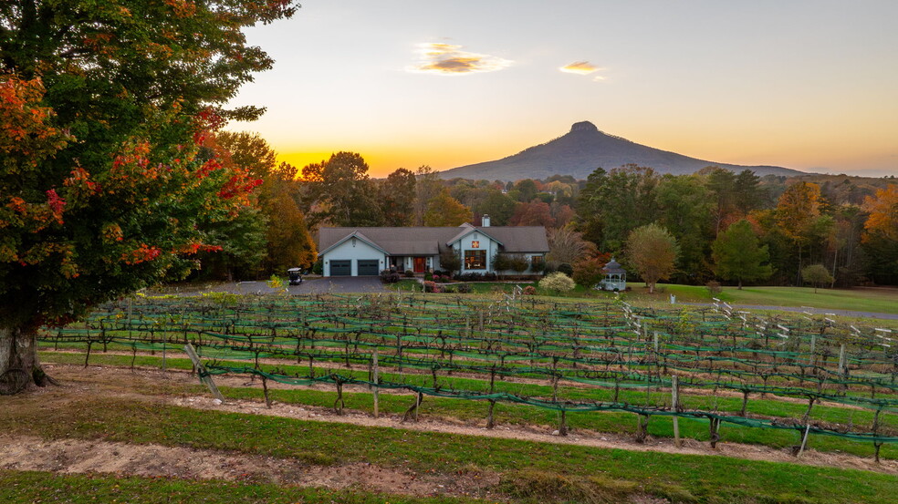 1162 Bradley Rd, Pinnacle, NC for sale - Primary Photo - Image 1 of 1