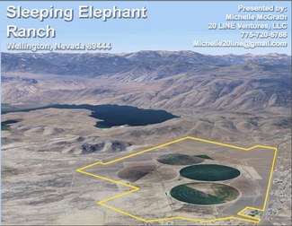 More details for 0 US Highway 208, Wellington, NV - Land for Sale