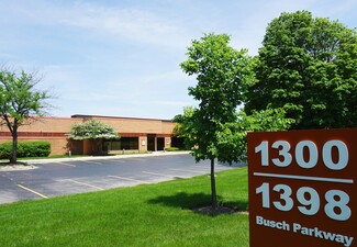 More details for 1300-1398 Busch Pky, Buffalo Grove, IL - Flex, Industrial for Rent