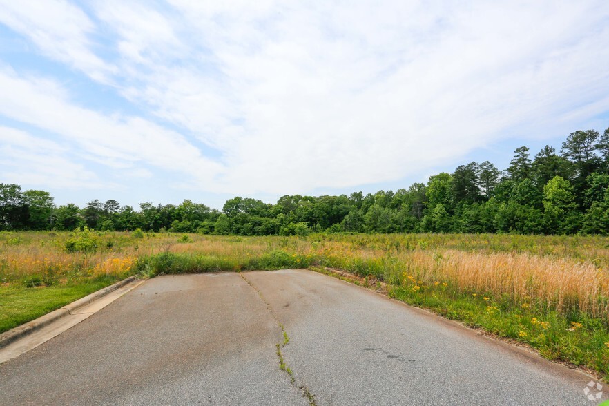 Land in Denver, NC for sale - Primary Photo - Image 1 of 1