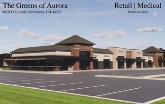 More details for 60 N Chillicothe Rd, Aurora, OH - Retail for Rent