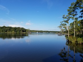 Dauphin Island Pkwy, Mobile, AL for sale Other- Image 1 of 1