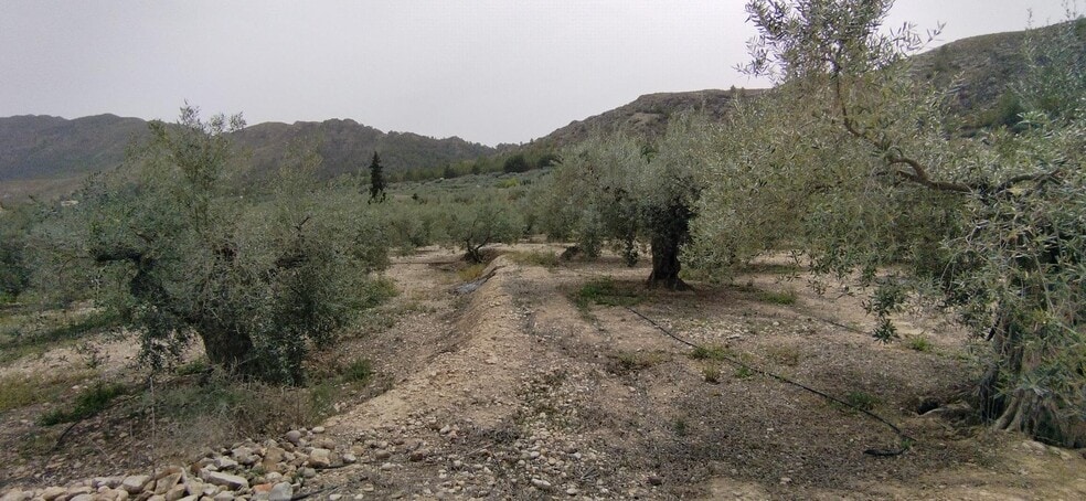 Land in Calasparra, Murcia for sale - Building Photo - Image 3 of 19