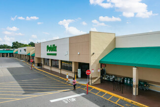 More details for 11710-117788 E Dr. Martin Luther King, J Blvd, Seffner, FL - Retail for Rent