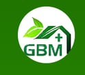 GBM Global Venture Inc