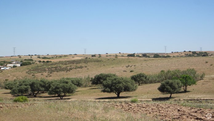 Polígono 51, 73, Navalcarnero, Madrid for sale - Primary Photo - Image 1 of 1