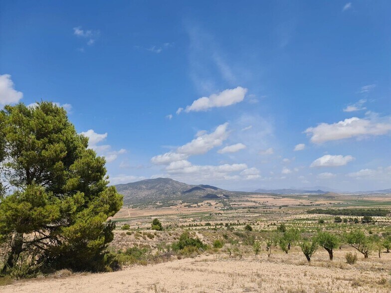 Land in MURCIA for sale - Aerial - Image 2 of 29