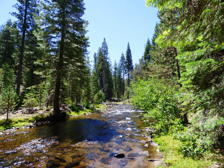 0 Haight Mountain Loop, Macdoel, CA for sale - Primary Photo - Image 1 of 1