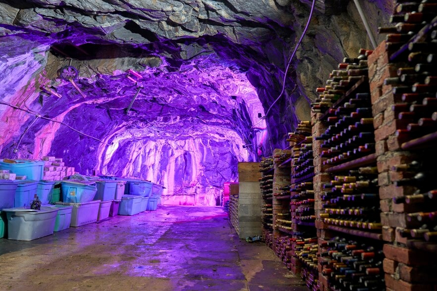 77 McEntee St, Kingston, NY to rent - Primary Photo - Image 1 of 16