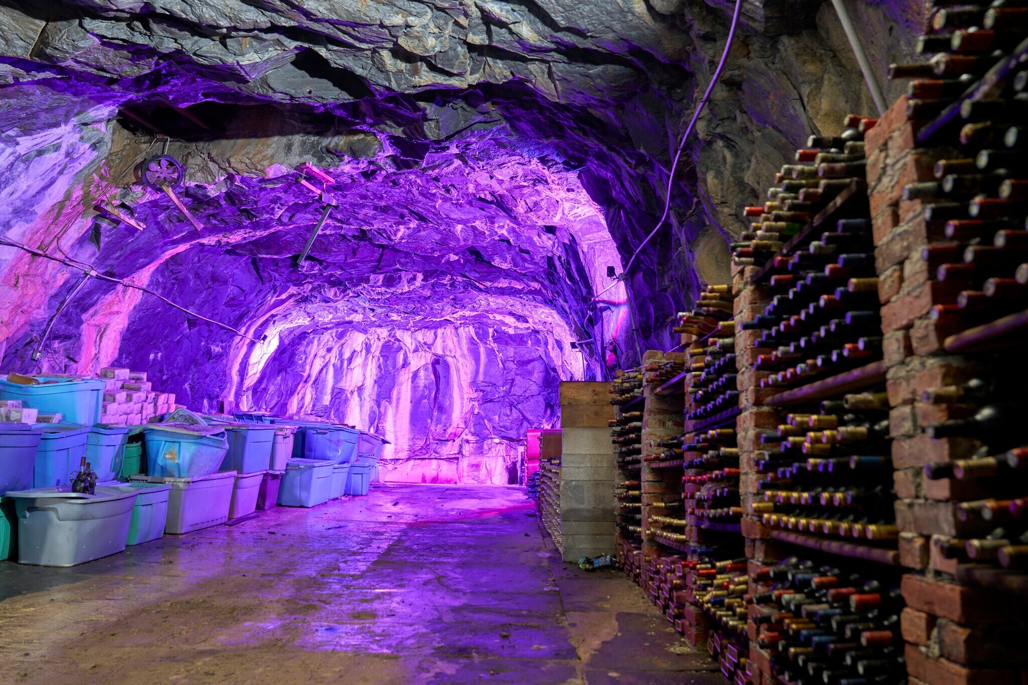 77 McEntee St, Kingston, NY to rent Primary Photo- Image 1 of 17