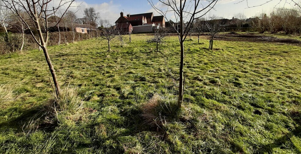 Hallams Ln, Timberland for sale - Primary Photo - Image 1 of 1