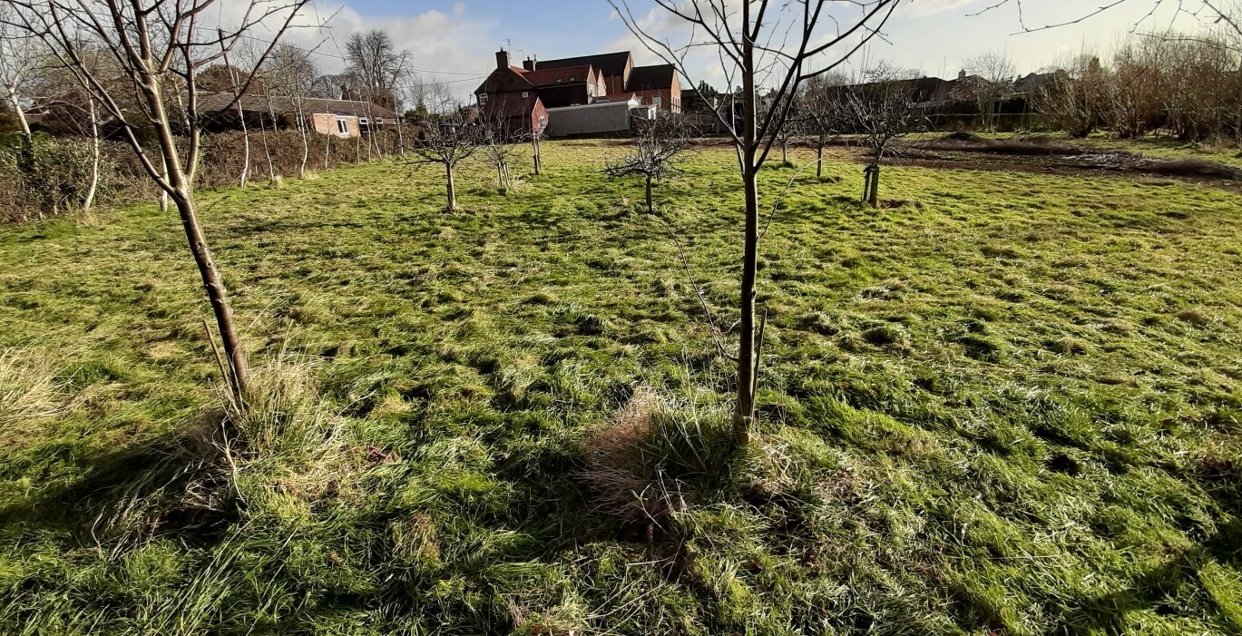 Hallams Ln, Timberland for sale Primary Photo- Image 1 of 1