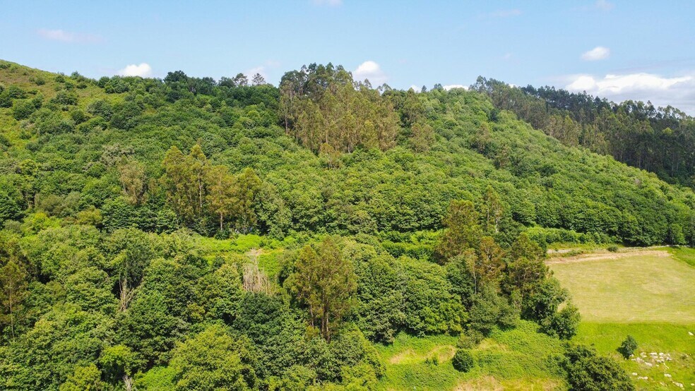 las Cuestas, Oviedo, Asturias for sale - Aerial - Image 2 of 31