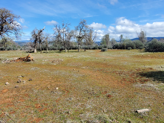 More details for 15-One NE Ranch Rd, Paynes Creek, CA - Land for Sale