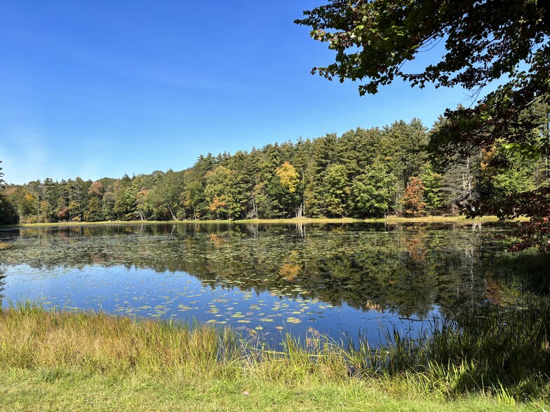 189 Blind Pond Rd, Narrowsburg, NY for sale - Building Photo - Image 3 of 46