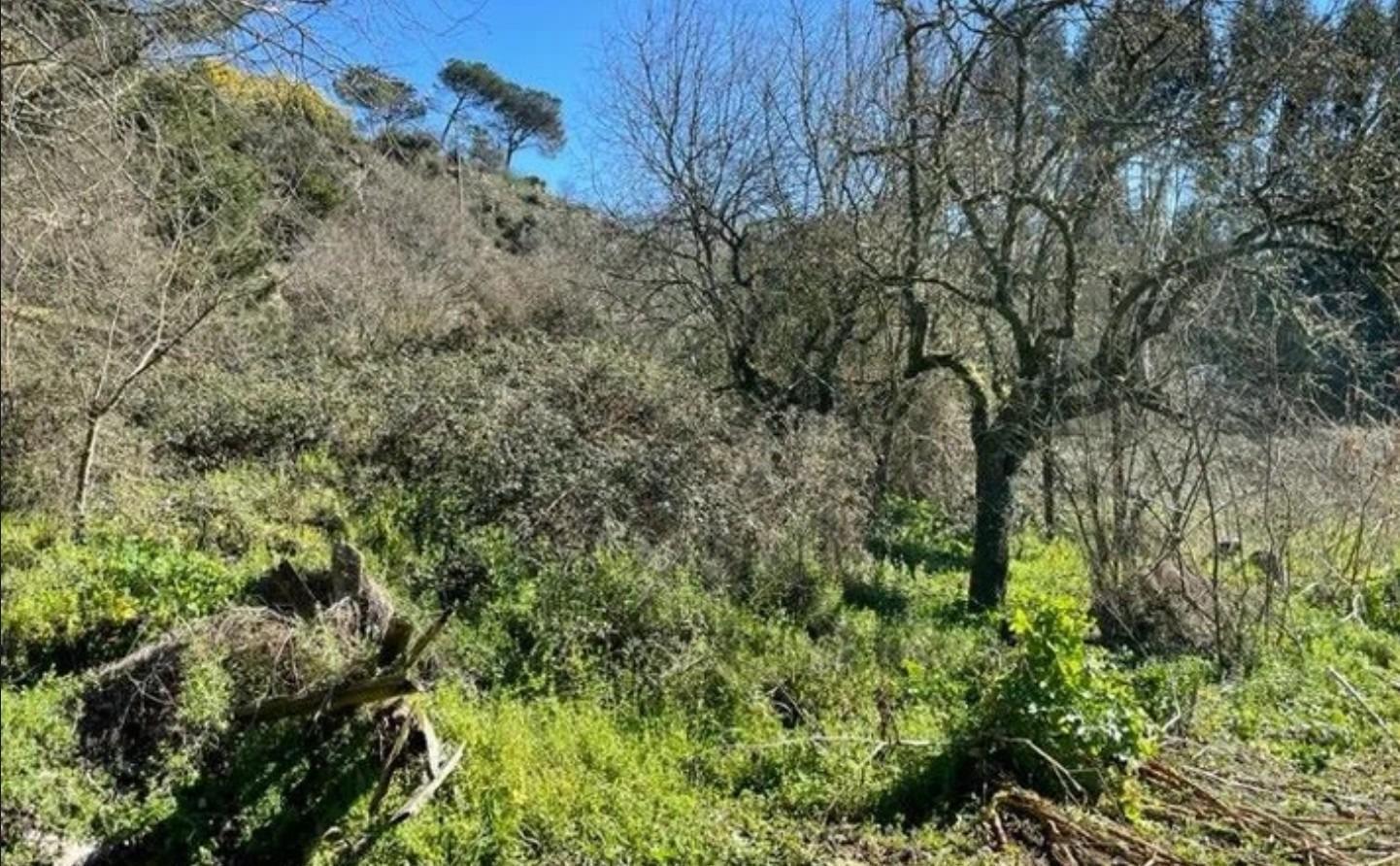 Camiño Franciscanos, Ourense, Orense for sale Building Photo- Image 1 of 8