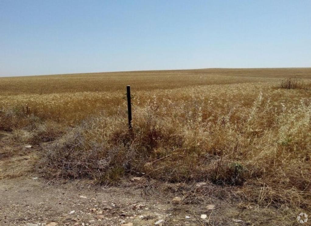 Land in Escalona, Toledo for sale Primary Photo- Image 1 of 5