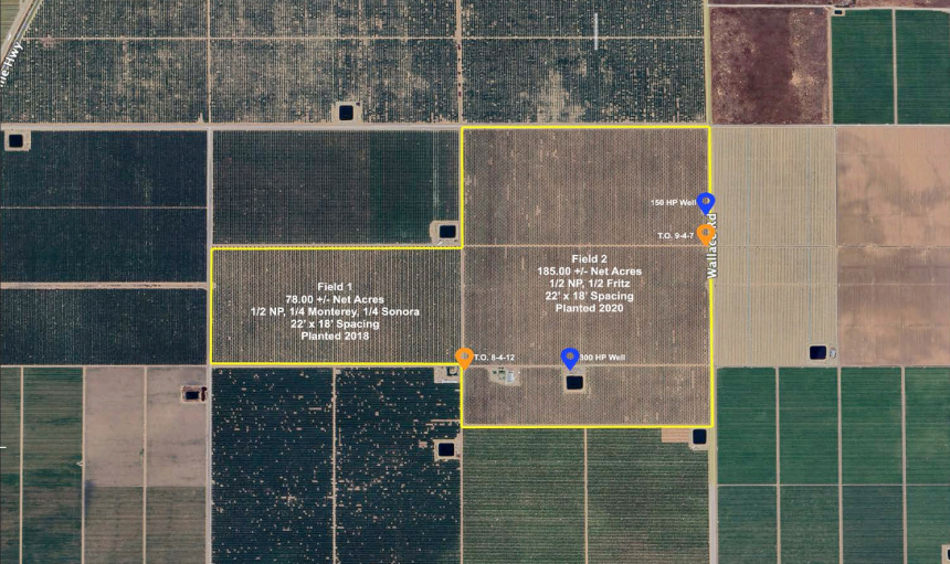 889.19 Acres of Almonds in San Joaquin portfolio of 3 properties for sale on LoopNet.co.uk - Building Photo - Image 2 of 3