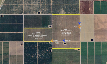 Aurora Ranch Hanawalt Ave & Wallace Rd, Wasco, CA for sale Primary Photo- Image 1 of 2