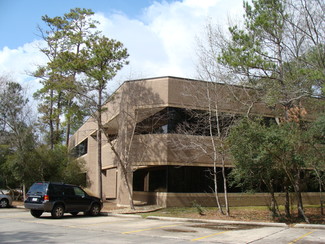 More details for 10655 Six Pines Dr, The Woodlands, TX - Office for Rent