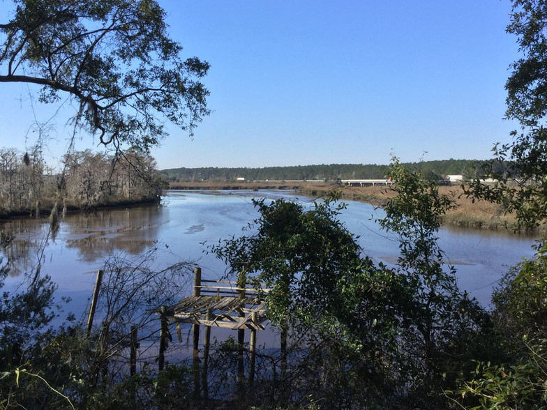 Highway 251, Darien, GA for sale - Primary Photo - Image 1 of 1