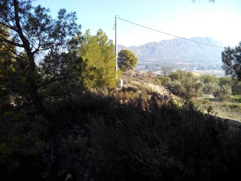 Land in Calasparra, Murcia for sale - Aerial - Image 3 of 9