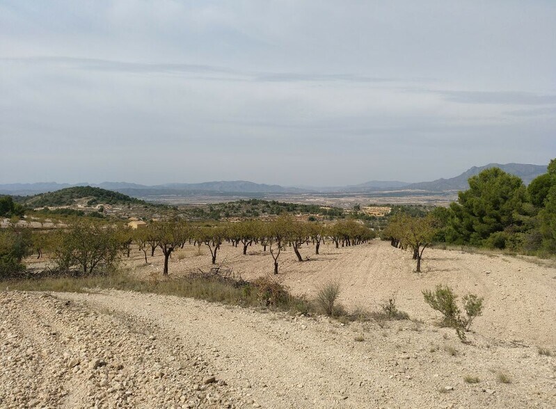 Land in Abanilla, Murcia for sale - Aerial - Image 1 of 8