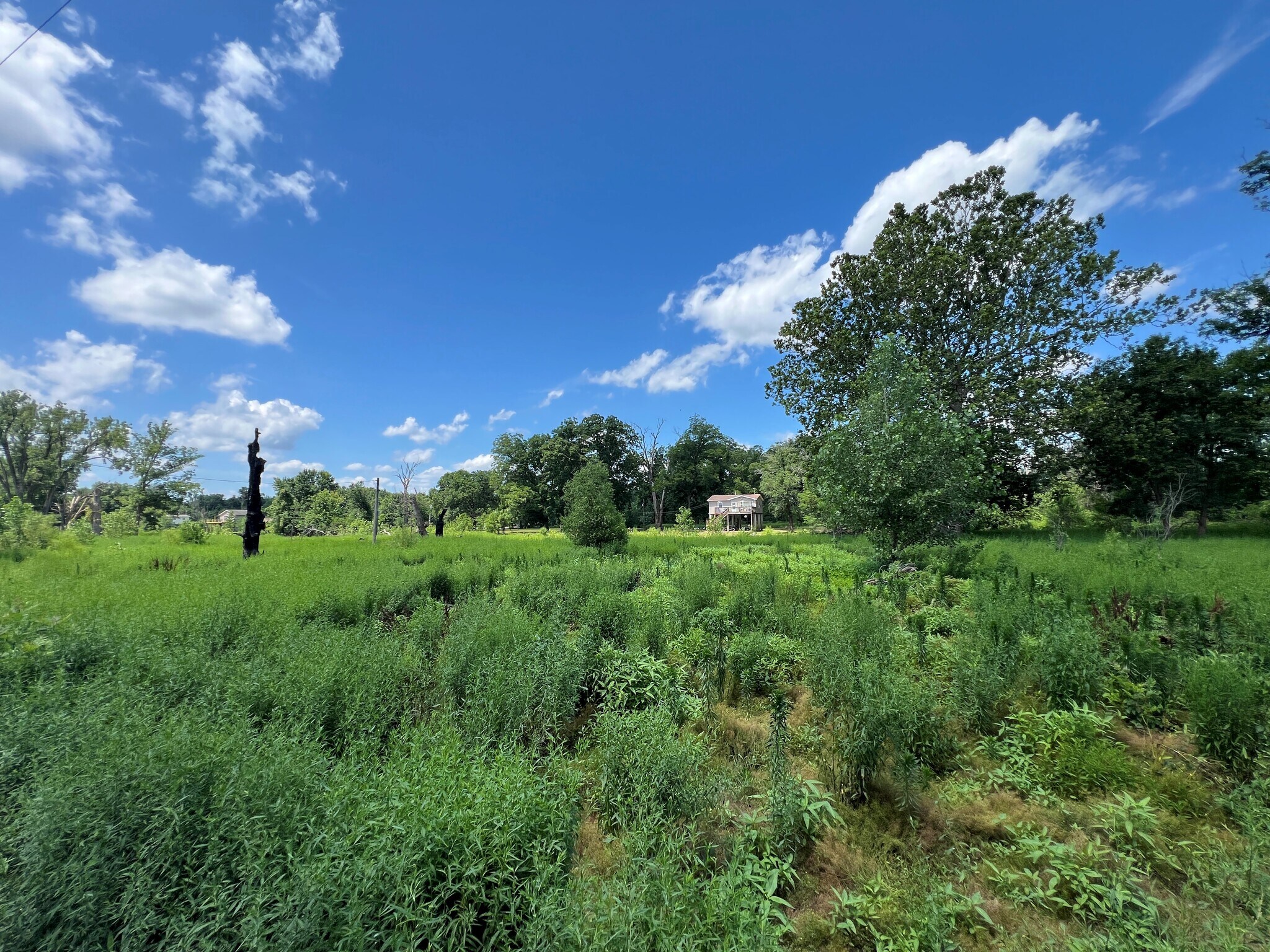 North River Road (Lot 5 - .346+/- Acres), Elsberry, MO for sale Other- Image 1 of 1