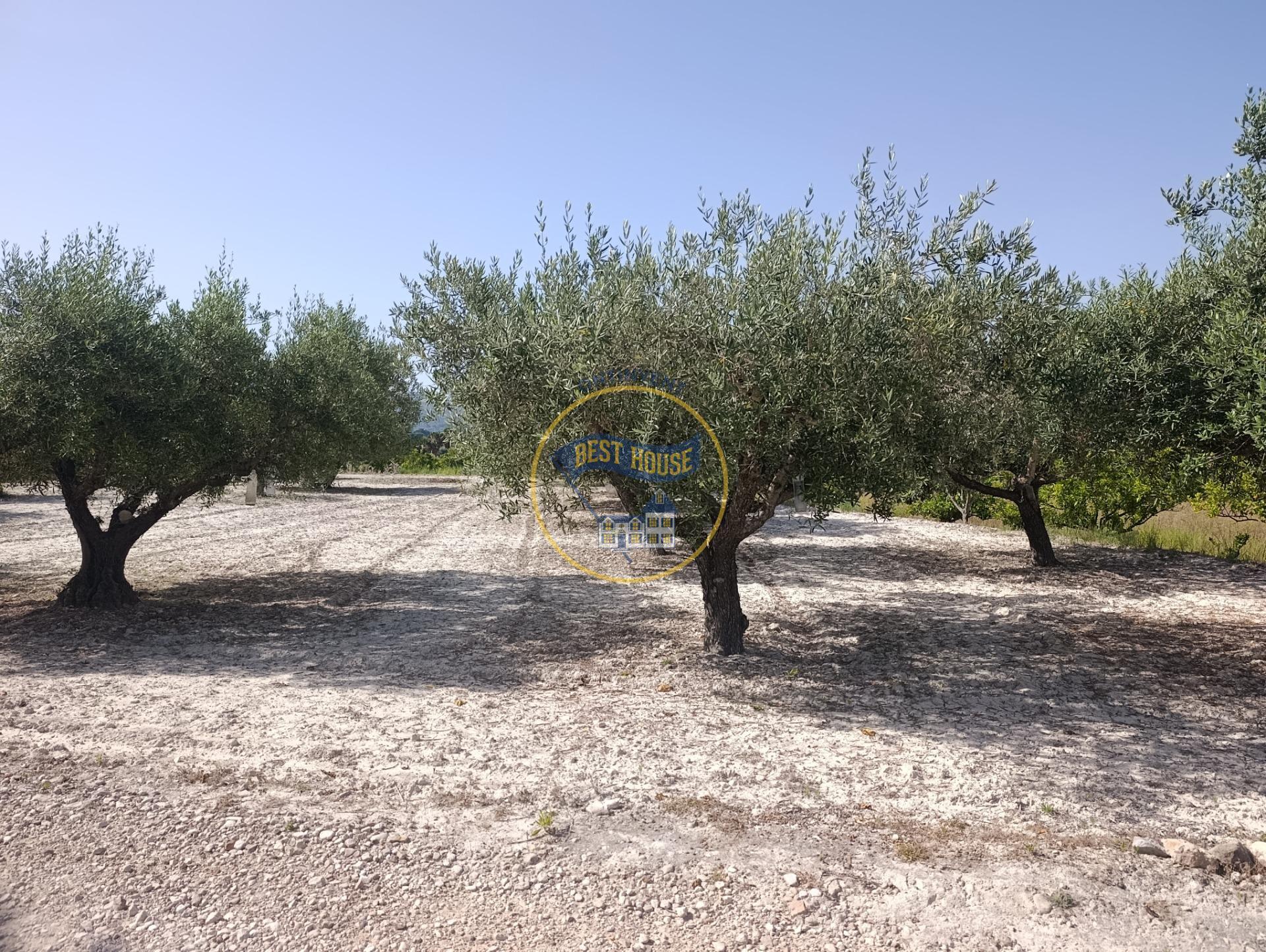 Land in Ontinyent, Valencia for sale Building Photo- Image 1 of 13