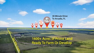 More details for 8476 Ten Mile Grade, Zolfo Springs, FL - Land for Sale