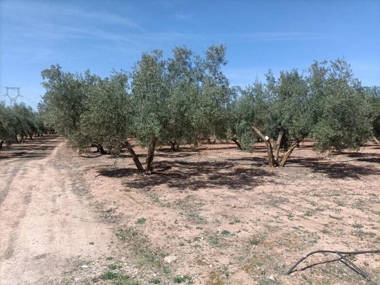 la Zanja, 25, Albolote, Granada for sale - Building Photo - Image 3 of 22