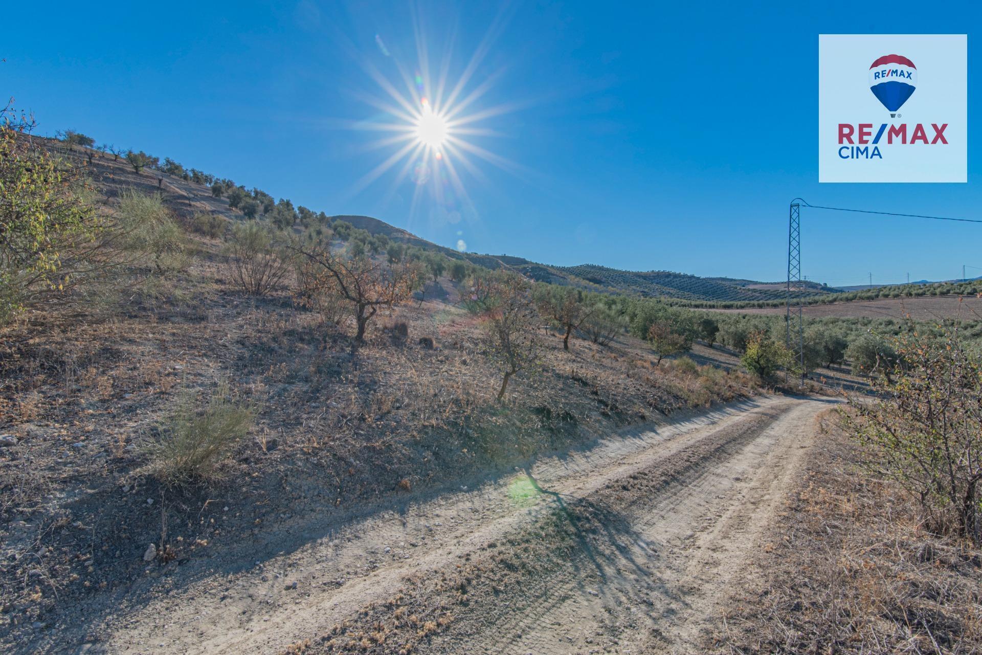 de Polígono Parcial, 2, Alhama de Granada, Granada for sale Building Photo- Image 1 of 56