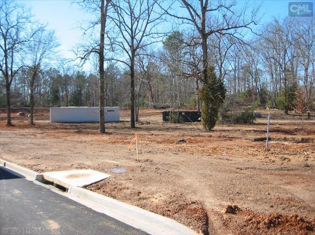 717 Chapin Rd, Chapin, SC for sale - Construction Photo - Image 1 of 1