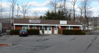 More details for 125 W Seneca St, Manlius, NY - Office for Rent