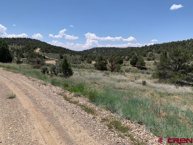 337 County 4018 rd, Navajo Dam, NM for sale - Primary Photo - Image 1 of 9