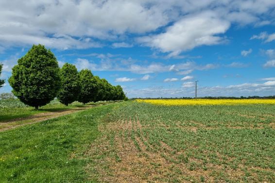 Orlingbury Rd, Kettering for sale Primary Photo- Image 1 of 1