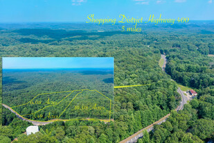 0 Highway 53 East 19.65 Acres - Commercial Property