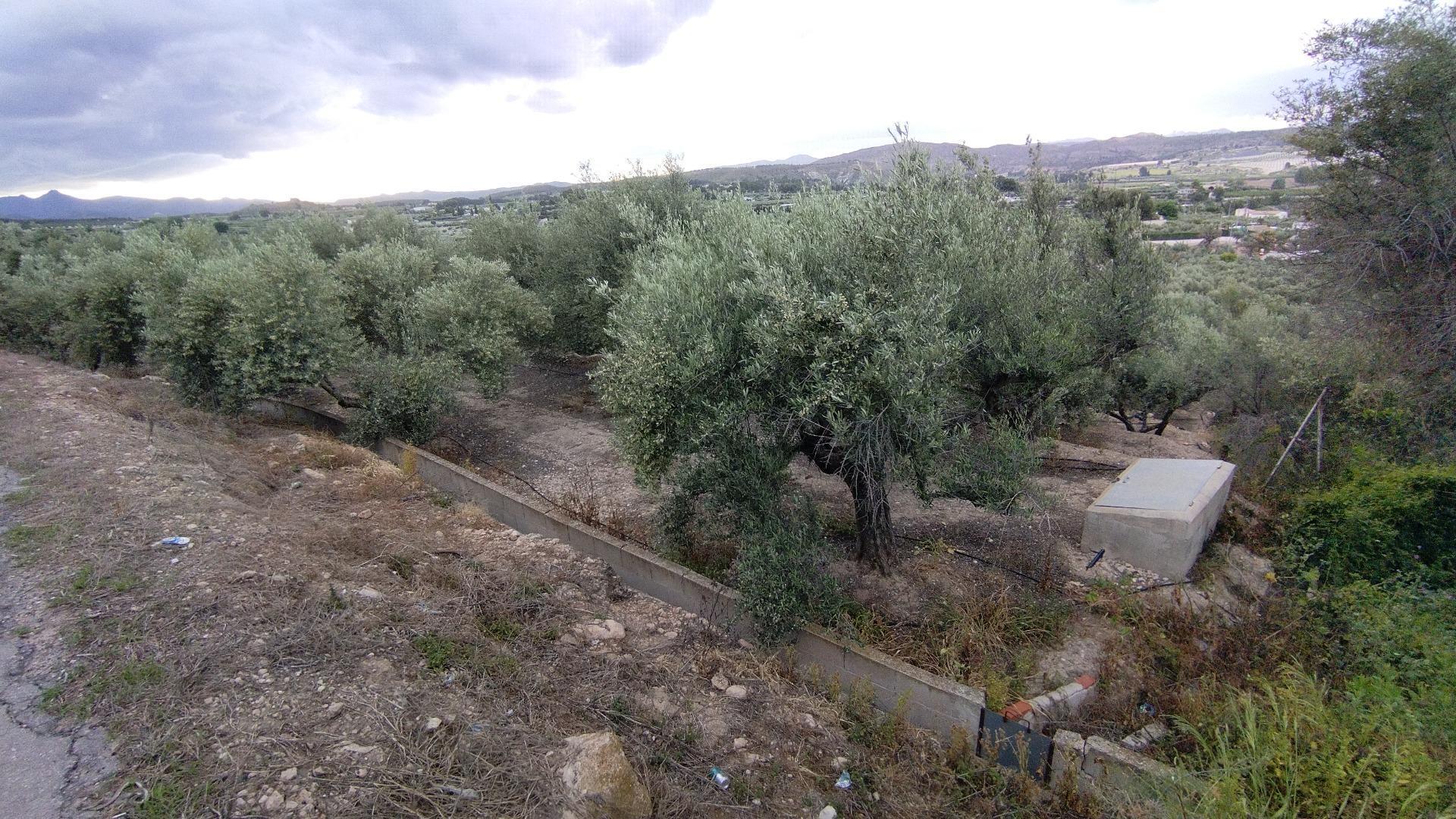 Land in Calasparra, Murcia for sale Building Photo- Image 1 of 10