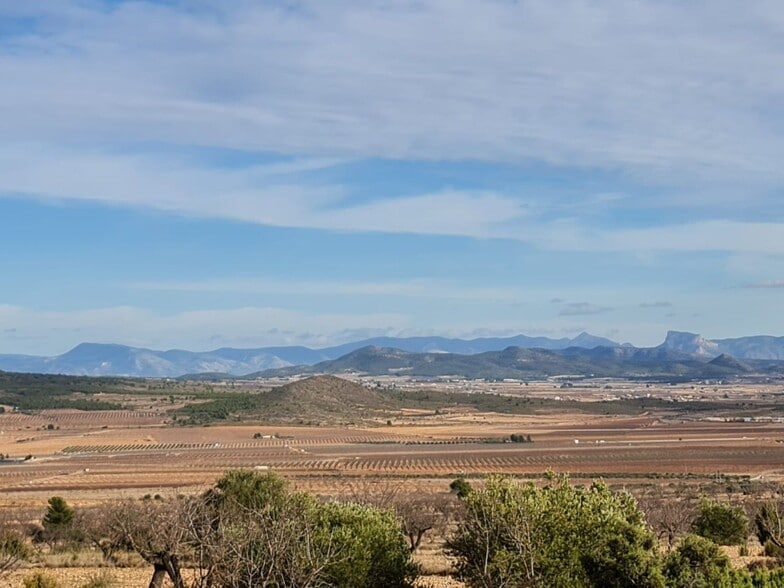 Land in Yecla, Murcia for sale - Aerial - Image 2 of 10