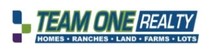 Team One Realty