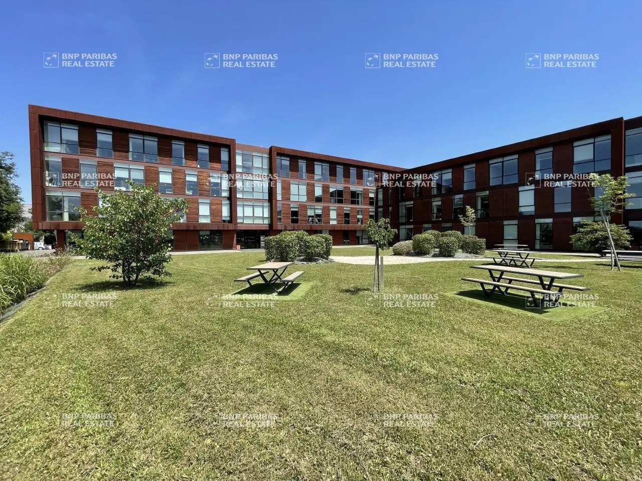 8 Rue De Vidailhan, Balma to rent Building Photo- Image 1 of 13