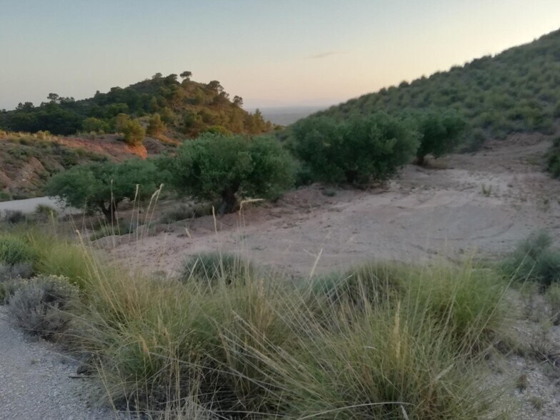 Land in Abanilla, Murcia for sale - Aerial - Image 3 of 5