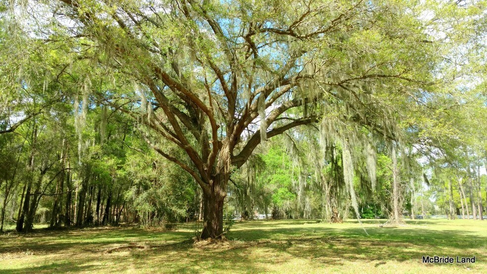 2302 E Fort King St, Ocala, FL for sale - Primary Photo - Image 1 of 1
