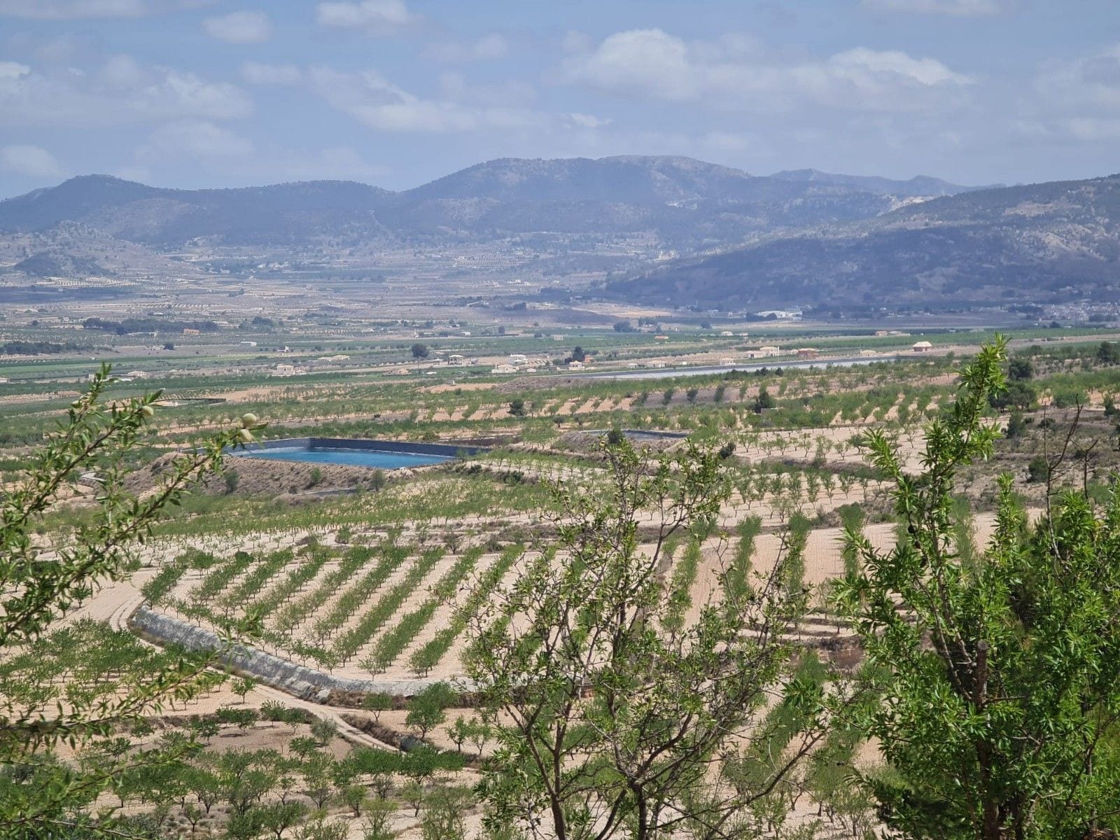 Land in MURCIA for sale Aerial- Image 1 of 30
