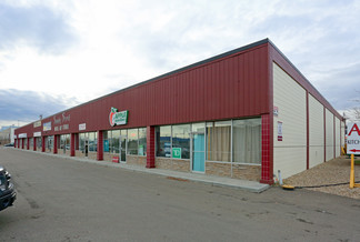 More details for 10628-10640 169 St NW, Edmonton, AB - Industrial for Rent