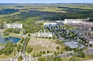 More details for Skytop Dr and Fishhawk Blvd, Lithia, FL - Land for Sale